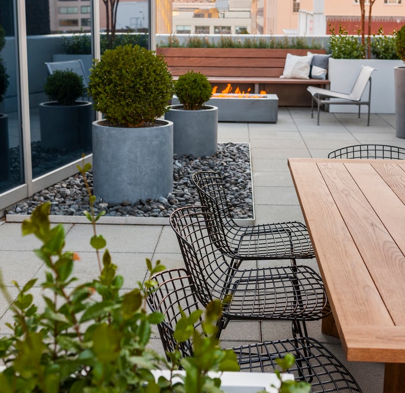 Seattle Terrace preview 4
